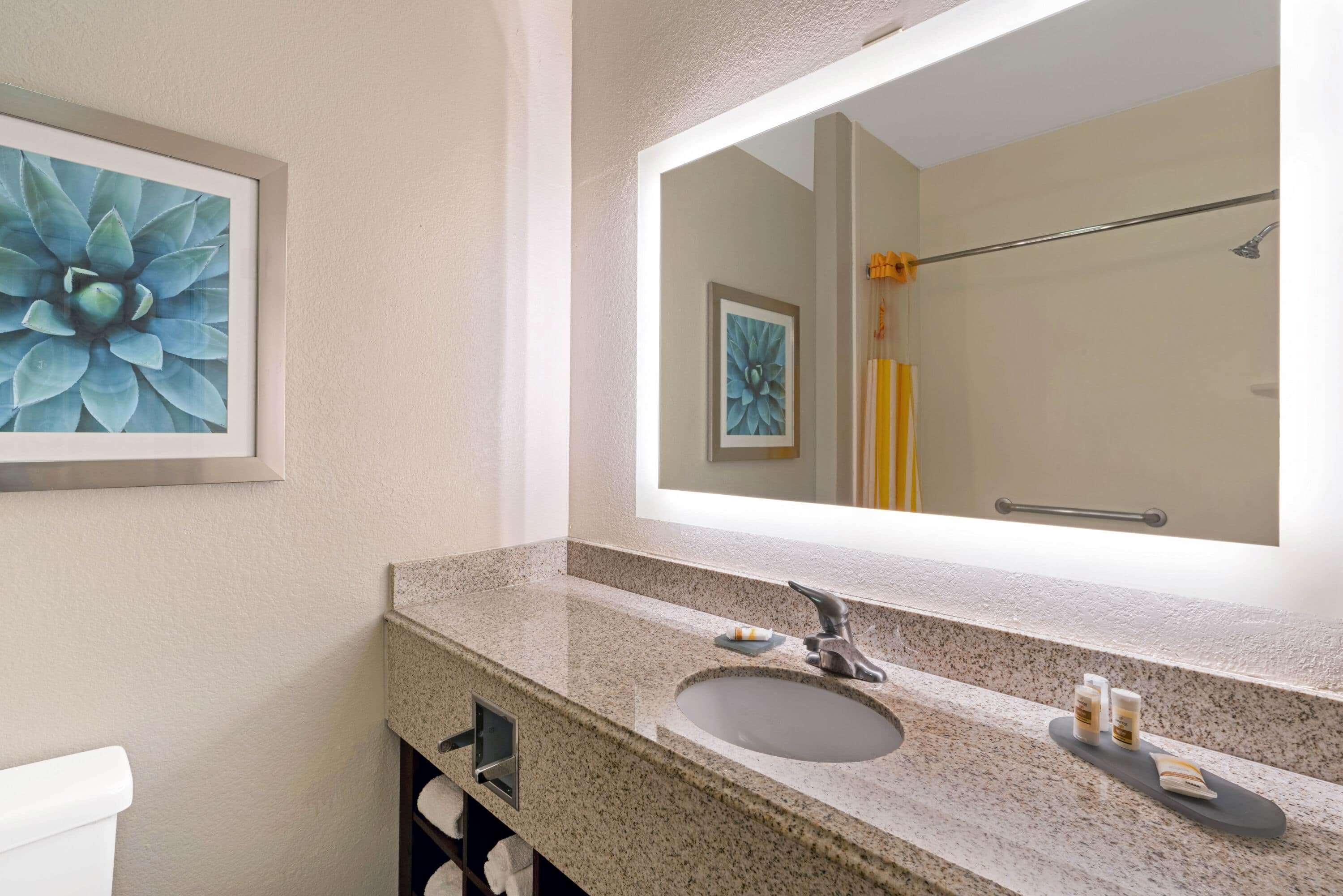 La Quinta By Wyndham Phoenix I-10 West Buitenkant foto